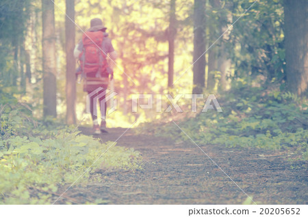 Hiking image 20205652