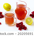hot drink with a guelder-rose and a lemon 20205691