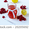 drink with a guelder-rose and a lemon 20205692