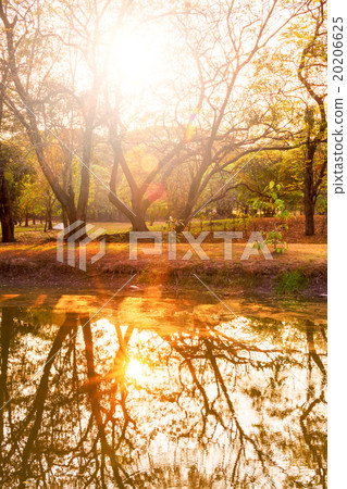 Lake and forest with reflection at sunrise. 20206625