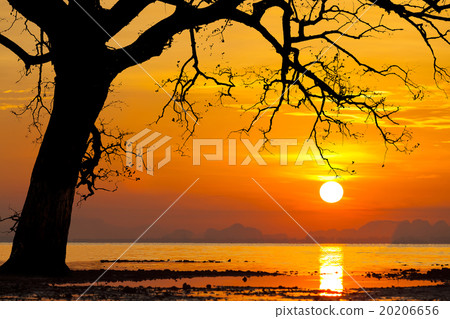 Beautiful sunset on a tropical island.  20206656