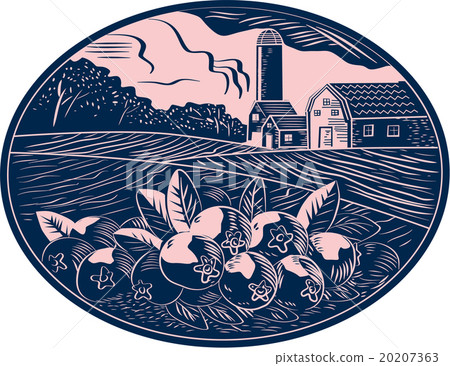 Cranberry Fruit Farm Oval Woodcut Cranberry Fruit Farm Oval Woodcut 20207363