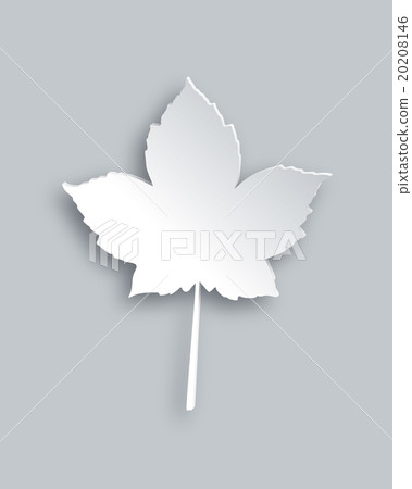 Maple leaf Maple leaf 20208146