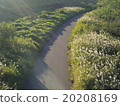 road  20208169