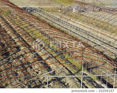 乙烯基的房子 乙烯基的房子 20208187