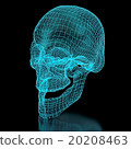 3D Skull Mesh 20208463