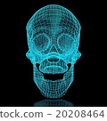 3D Skull Mesh 20208464