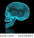3D Skull Mesh 20208465