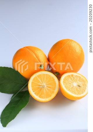 Lemon  20209230
