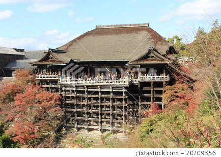 清水寺 清水寺 20209356
