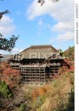 清水寺 清水寺 20209357