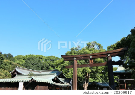 明治神宮鳥居 20209917