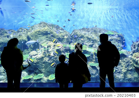 水族館的巨大坦克 20210403
