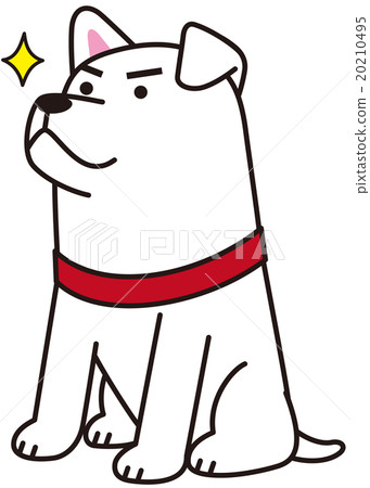 I am waiting for a dog 20210495