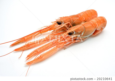 意大利菜配料，鮮蝦，scampi（scampi）·紅蝦（日本名）。 20210641