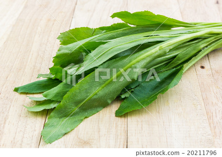 Culantro or Parsley. 20211796