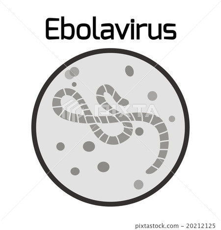 Ebola virus 20212125