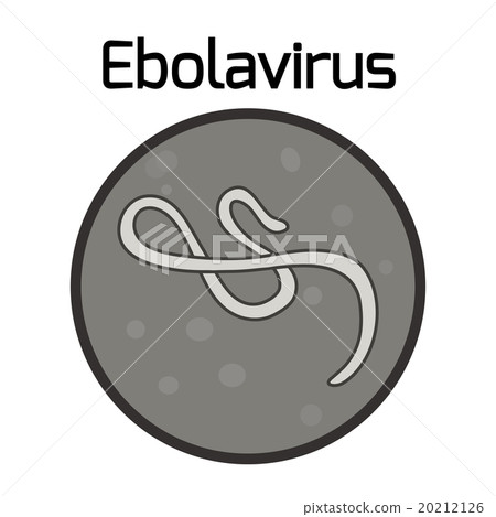 Ebola virus 20212126