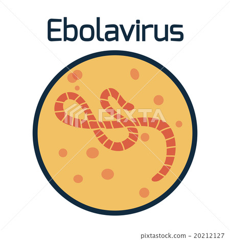 Ebola virus 20212127