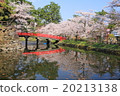 Hirosaki Cherry Blossom Festival 20213138