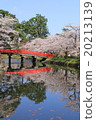 Hirosaki Cherry Blossom Festival 20213139