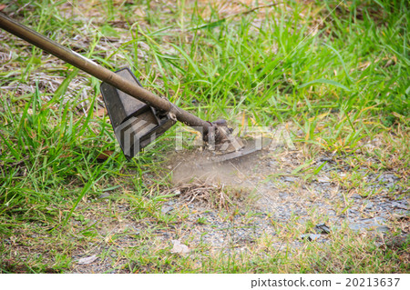 Closeup of mower cutting the grass Closeup of mower cutting the grass 20213637