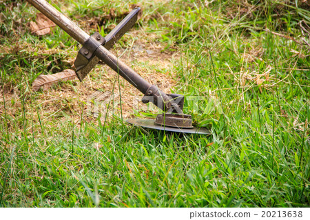 Closeup of mower cutting the grass Closeup of mower cutting the grass 20213638