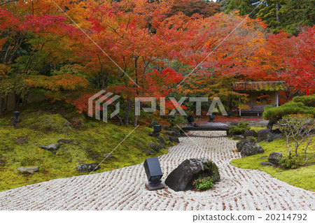 松島日元訪問的秋葉 20214792