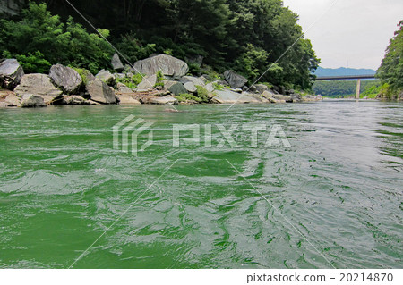 Saigama ken Nagami-cho Nagami Valley Line血統 20214870