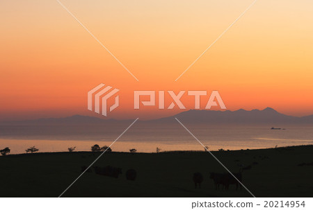 網走市政中新世牧場的晨光 20214954