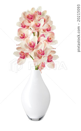 Beautiful flower Orchid, pink phalaenopsis in vase Beautiful flower Orchid, pink phalaenopsis in vase 20215093