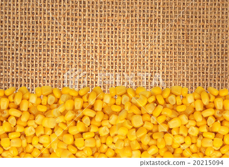 Yellow corn gran over linen texture background Yellow corn gran over linen texture background 20215094