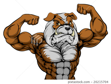 Bulldog Mascot 20215704