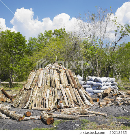 charcoal pile, Pinar del Rio Province, Cuba charcoal pile, Pinar del Rio Province, Cuba 20218385