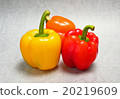 Paprika 20219609