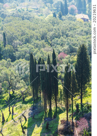 Corfu Corfu 20219631
