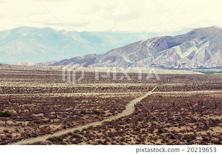 Northern Argentina Northern Argentina 20219653