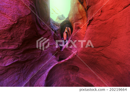 Slot canyon 20219664
