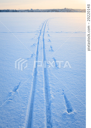 Ski tracks snow lake 20220148