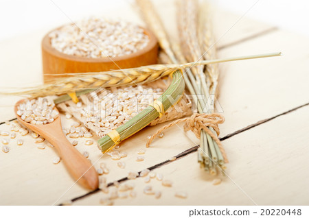 organic wheat grains 20220448