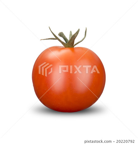 Fresh Tomato Fresh Tomato 20220792