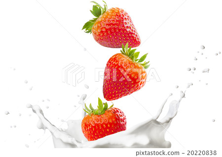 Milk Splash From Strawberries Milk Splash From Strawberries 20220838