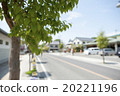 Roadside tree  20221196