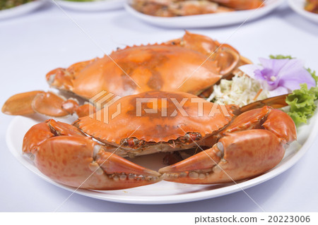 Fresh Big steam crab on the plate Fresh Big steam crab on the plate 20223006