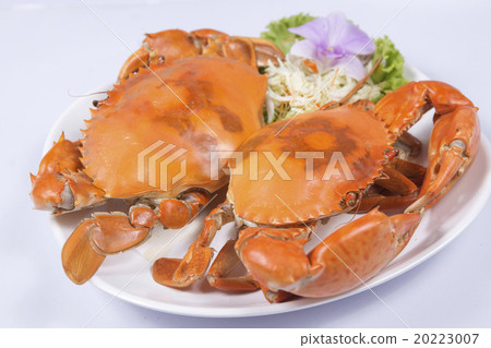 Fresh Big steam crab on the plate Fresh Big steam crab on the plate 20223007