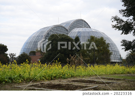 Yumenoshima Tropical Botanic Garden in Koto Ward 20223316