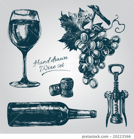 Hand Drawn Wine Elements 20223566