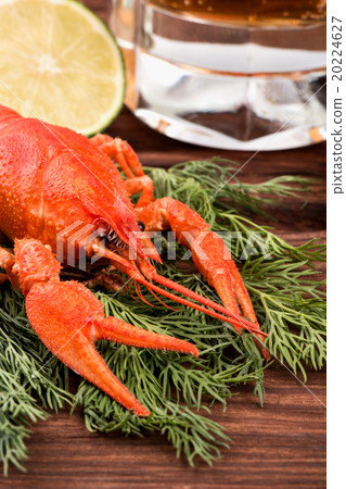 Beer with crayfish Beer with crayfish 20224627