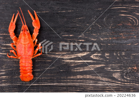 Boiled crawfish Boiled crawfish 20224636