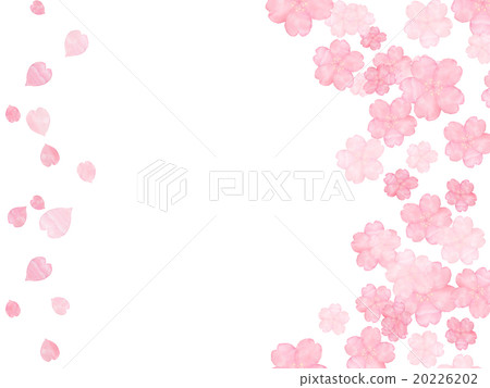 Cherry blossom petal cherry blossom snow Heart cut illustrations copy space frame frame watercolor hand-painted handwriting 20226202